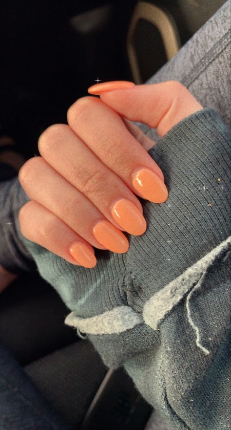 Short Rounded Acrylic Nails, Squoval Acrylic Nails, Rounded Acrylic Nails, Orange Acrylic Nails, Peach Nails, Plain Nails, Simple Acrylic Nails, Almond Acrylic Nails, Cute Gel Nails