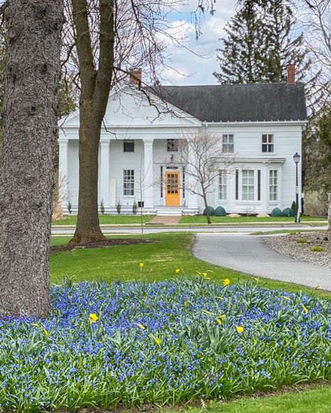 Mandy Eno on Instagram: “Signs of spring spotted on our walk today 💛 So nice to see! #thereshope #thinkspring 🌿” Mandy Eno, Signs Of Spring, Spring Sign, White Houses, So Nice, Spot On, House Exterior, Walking, Exterior