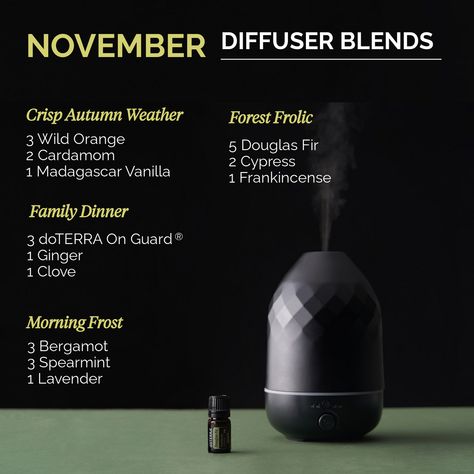 I love November so much! These diffuser blends go so well with the season. Which one is your favorite? Customize your cart with the oils you want to order: http://www.doterra.com/US/en/create-cart/enrollment?OwnerID=7565613&salesOrg=USOTG&acctType=WC&60219088=1&31590001=1&60206972=1&30070001=1&30170001=1&49350001=1&60218012=1&31100001=1&60215119=1&30040001=1&30790001=1&31610001=1&30110001=1 November Diffuser Blends, Essential Oils Doterra, Essential Oils Video, Essential Oil Education, What Are Essential Oils, Wild Orange, Oil Diffuser Blends, Doterra Oils, Oil Uses