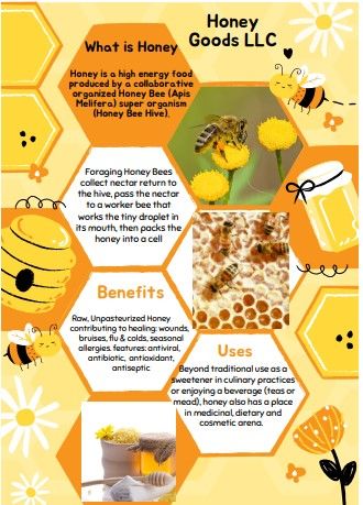 Bee Project, High Energy Foods, Worker Bee, Honey Bee Hives, Energy Foods, High Energy, Bee Hive, Honey Bee, Crafts Ideas