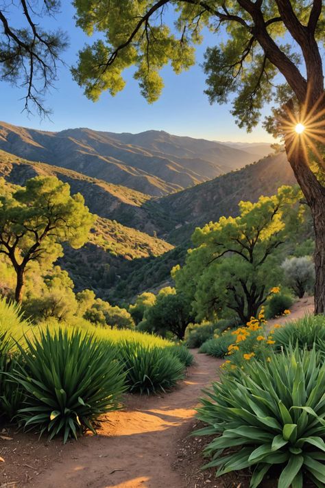 Uncover Atascadero&#8217;s Charm: Adventures Await 🌿🐯🌟 Atascadero California, Lake Park, Anniversary Trips, California Homes, Bike Trails, Big Sur, Adventure Awaits, Horseback Riding, Wyoming