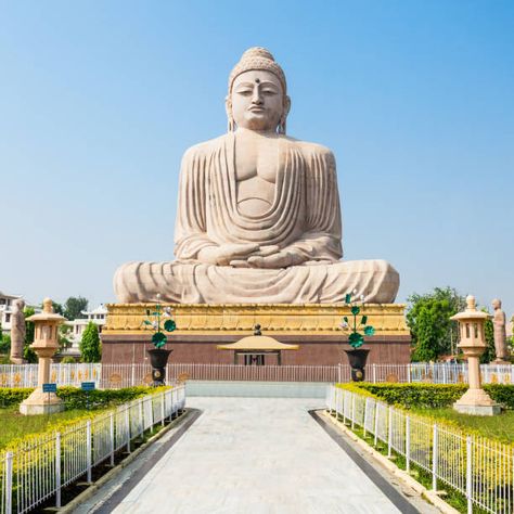 Buddha Stock Photos, Pictures & Royalty-Free Images - iStock Bodh Gaya, Amitabha Buddha, India Tour, Buddhist Temple, India Travel, Tour Packages, Unesco World Heritage Site, Unesco World Heritage, Pilgrimage