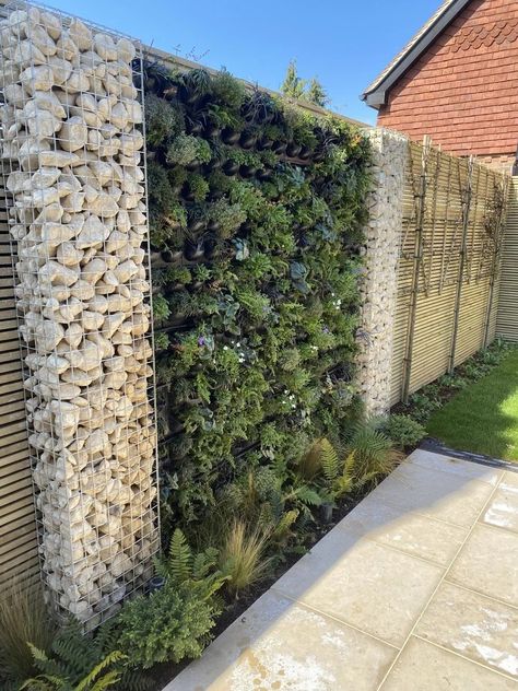 Living Wall Garden, Garden Wall Designs, Vertical Garden Indoor, Irrigation Systems, Terrace Decor, Vertical Garden Wall, Stone Wallpaper, Privacy Walls, Vertical Gardens