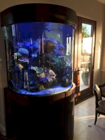 Cylinder Fish Tank, Aquarium Design Ideas, Round Fish Tank, Fish Tank Ideas, Aquarium Stands, Saltwater Fish Tanks, Fresh Water Fish Tank, Aquarium Stand, Nature Aquarium