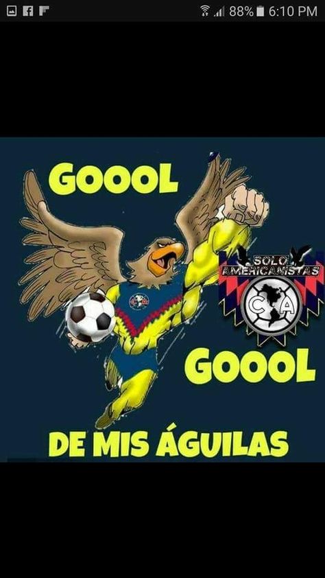 America Fc, Funny Memes Images, Club America, Funny Memes, Comic Book Cover, Soccer, Sports, Memes, Funny