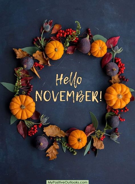 Thanksgiving Wallpapers, Hello November, Thanksgiving Wallpaper, Floral Wreaths, Days Of The Week, Halloween Wreath, Floral Wreath, Thanksgiving, Wallpapers