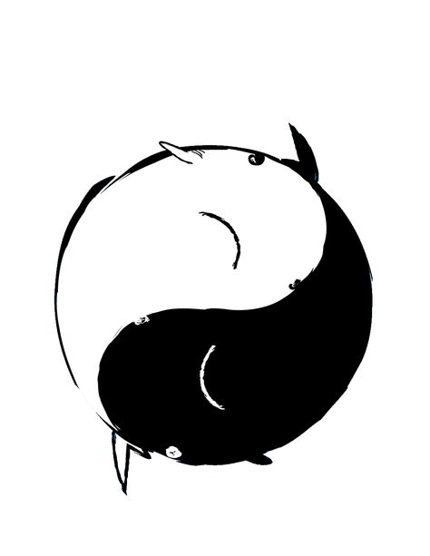 Yin Yang Icon, Pretty Animation, Motion Design Animation, Yin And Yang, Stop Motion, Yin Yang, Motion Design, Animated Gif, Motion