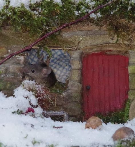 Mouse Village, Attic Stairs, Mice, Stairs, Animals, Nature