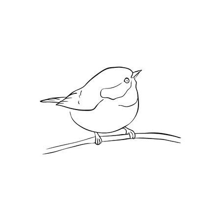 Bird In A Tree Drawing, Bird Line Art Illustration, Birds Line Drawing, Sparrow Drawing Simple, Bird On Branch Drawing, Bird On Branch Tattoo, Small Bird Drawing, Little Bird Drawing, Tree Branch Sketch