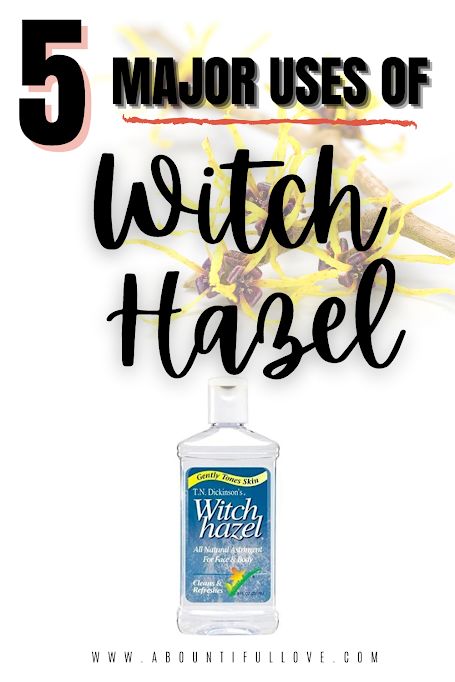 Benefits Of Witch Hazel, Witch Hazel Uses, Ant Bites, Warts Remedy, All Natural Cleaners, Sensitive Scalp, Itchy Scalp, Shrink Pores, Budget Friendly Recipes