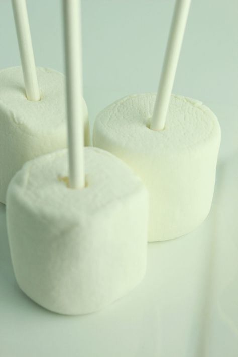 Giant Dipped Marshmallows, Giant Marshmallow Pops, Jumbo Marshmallows Ideas, Large Marshmallow Recipes, Marshmallow Appetizers, Dipped Marshmallow Pops, Big Marshmallows, Practically Homemade, Giant Marshmallows