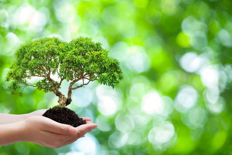 The Importance of Ethical Practice in a Master’s Degree in Environmental Science Environmental Science Projects, Environmental Science Activities, High School Earth Science, Environmental Science Major, Science Astronomy, Environmental Ethics, Science Background, Science Quotes, Material Science