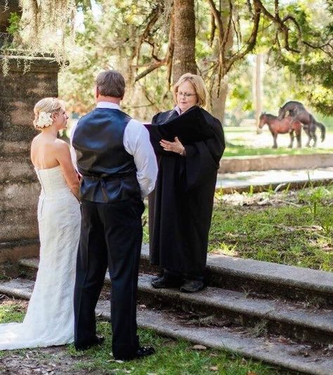 Funny Wedding Pictures: 14 Here Comes the Crazy Wedding Quotes Funny, Awkward Wedding Photos, Funny Wedding Pictures, Wedding Fail, Reddit Funny, Cumberland Island, Island Pictures, Pinterest Humor, Wedding Quotes