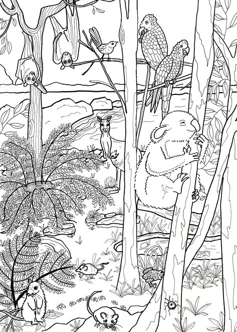 Tag me on instagram (@minglebelle)  when you are done colouring, I would love to see it! #colouring #animals #australia #forest #nature #colouringforadults #colouringforkids Australia Colouring Pages, Colouring Animals, Australia Forest, Homeschool Goals, River Songs, Fall Coloring Sheets, Animals Australia, Australian Landscapes, Nature Camp