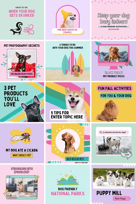 Grid view of 15 colorful square Canva templates for dog businesses Dog Posts Instagram, Dog Post Instagram, Dog Instagram Post Ideas, Dog Business Ideas, Carousel Template, Pet Instagram, Dog Template, Dog Marketing, Pet Branding