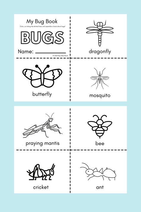 Bug Activities, Insects Preschool, Bugs Preschool, Insect Activities, Insect Crafts, Insects Theme, Bug Crafts, Creative Curriculum, Daycare Activities