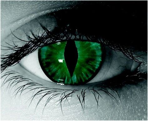 Cat eye Cat Eye Contacts, Eye Color Chart, Colored Eye Contacts, Eye Contact Lenses, Halloween Contact Lenses, Demon Eyes, Eyes Artwork, Slytherin Aesthetic, Magic Eyes