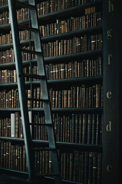 Academia Aesthetic Wallpaper, Library Aesthetic, Slytherin Aesthetic, Wooden Ladder, A Ladder, Interior Design Magazine, Dark Academia Aesthetic, Interior Photo, Academia Aesthetic