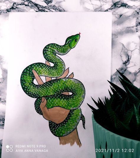 #Snake #drawing made with #pencils Snake Drawing Color, Snake Painting Acrylics, Drawing Snake, Blue Watercolor Wallpaper, Snake Painting, Snake Drawing, Green Pencil, Silver Pen, Green Snake