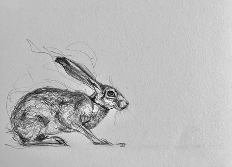 Julie Brunn_rabbit drawing Hare Sketch, Hare Drawing, Arctic Hare, Rabbit Drawing, Rabbit Tattoos, Dragon Drawing, Art Studies, Mad Hatter, Moose Art