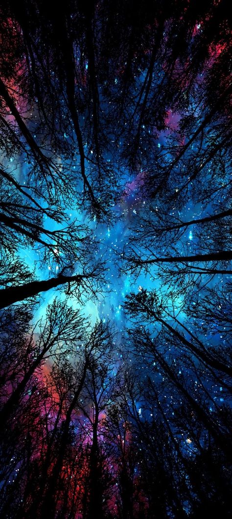 Welcome to follow Starry Night Wallpaper, Amoled Wallpapers, Amazing Books, Night Sky Wallpaper, Fantasy Background, Iphone Wallpaper Hd Nature, Scenery Paintings, Beautiful Art Paintings, Trippy Wallpaper