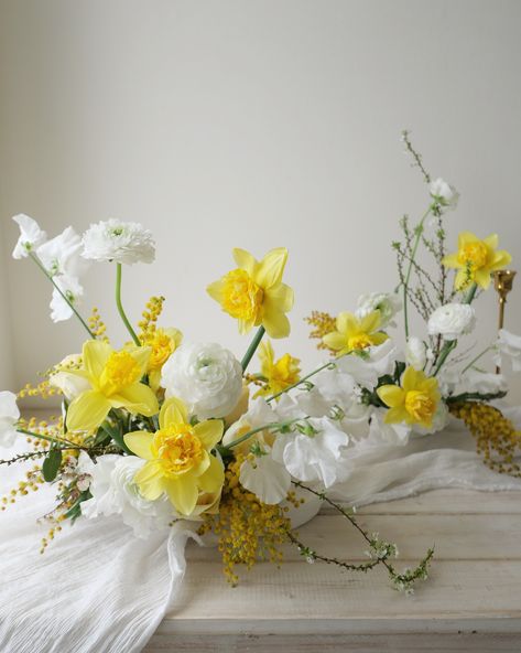 White Flower Arrangement, White Flower Arrangements, Flower Centerpiece, Yellow Wedding, Spring Flower, Flower Centerpieces, White Flower, Mimosa, Flower Arrangement