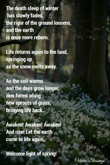 Ostara Prayer Pagan, Ostara Poem, Ostara Prayer, Ostara Quotes, Ostara Alter, Seasonal Witch, Pagan Prayers, Witch Notes, Equinox Ritual