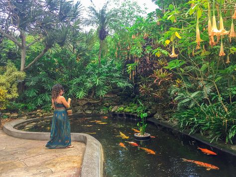 Spent this lovely day feeding the koi, and eating Cookie Monster ice cream till our mouths turned blue 💙 Sunken Gardens St Petersburg, Eating Cookie, Cookie Monster Ice Cream, Monster Ice Cream, Sunken Gardens, Sunken Garden, Turn Blue, Lovely Day, Cookie Monster