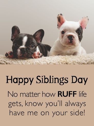 Sibling Day Quotes Funny, Siblings Day Quotes, Funny Siblings, Happy Siblings, Happy Sibling Day, Brother N Sister Quotes, Brother Sister Memes Funny, Free Birthday Greetings, Funny Brother And Sister Memes