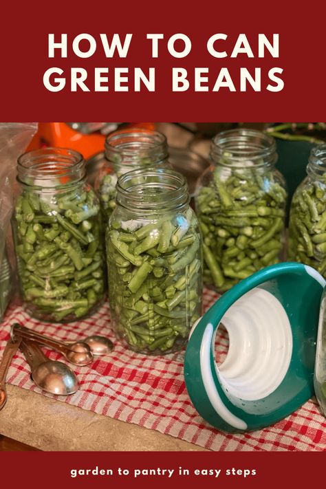 Pressure Canning Green Beans, Preserving Green Beans, Canning Green Beans, Canning Beans, Homesteading Recipes, Easy Canning, Pressure Canning Recipes, Canning Process, Home Canning Recipes