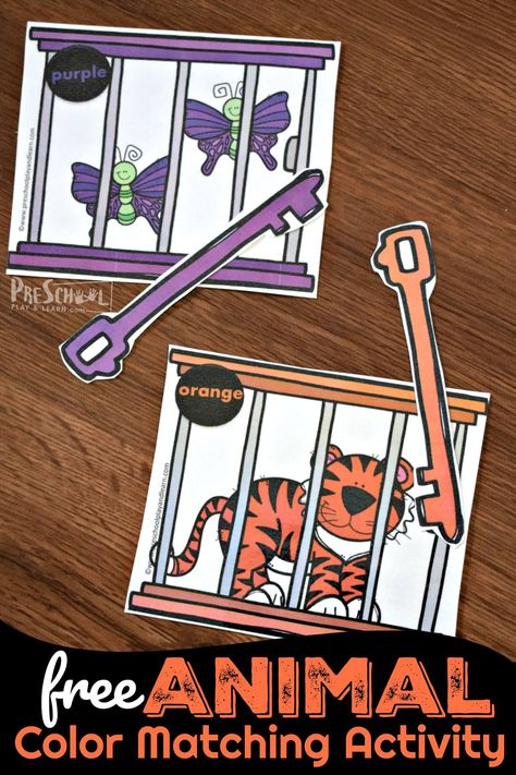 FREE Animal Color Matching Activity is such a cute math activity for preschoolers to go along with a zoo theme. Goodnight Gorilla Activities, Zoo Animals Preschool Activities, Goodnight Gorilla, Zoo Activities Preschool, Zoo Lessons, Zoo Animals Preschool, Preschool Zoo Theme, Zoo Preschool, Toddler Math