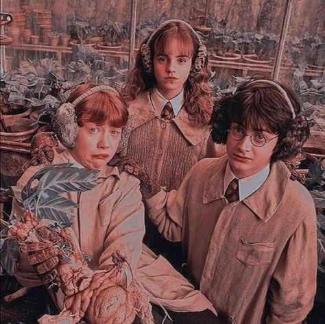 Golden Trio, Ideas Style, Home Ideas, Harry Potter, Style Inspiration