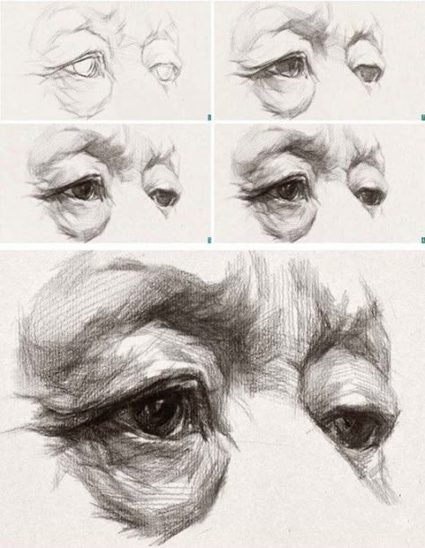 How-to-Draw-an-Eye-Best-Tutorials-to-Follow Drawing An Eye, Easy Pencil Drawings, Drawing Eyes, Anatomy Sketches, Pencil Drawings Easy, Anatomy Drawing, Pencil Portrait, Ink Drawings, Anatomy Art