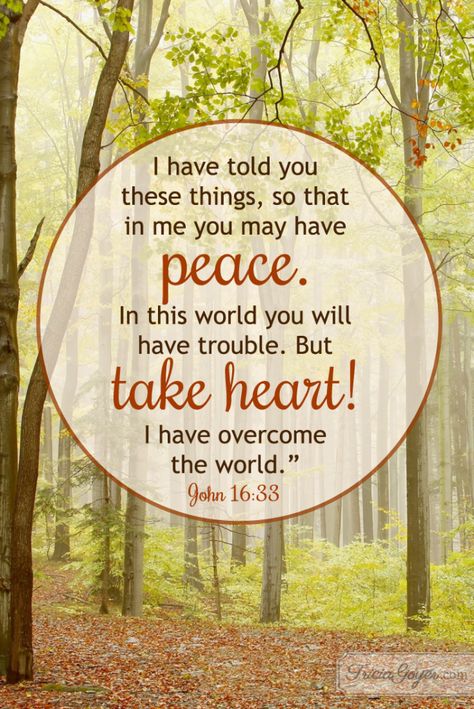 John 16:33 (NKJV) ~~ These things I have spoken to you, that in Me you may have peace. In the world you will have tribulation; but be of good cheer, I have overcome the world.” ~~ Take Heart! | John 16:33 John 16 33 Tattoo, Salat Prayer, I Have Spoken, Overcome The World, Take Heart, Encouraging Scripture, Women Of Faith, Favorite Bible Verses, Verse Quotes