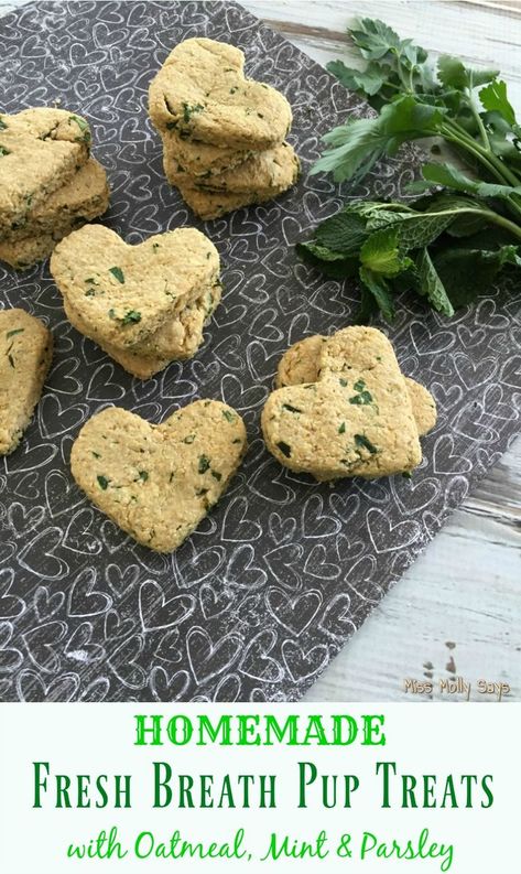 Homemade Fresh Breath Pup Treats with Oatmeal, Mint and Parsley Good Breath Dog Treats, Fresh Dog Breath, Bison Dog Treats, Greenies For Dogs, Diy Mint Dog Treats, Homemade Dog Treats For Fresh Breath, Dog Treats With Mint, Whole Wheat Dog Treats, Dog Treats With Veggies