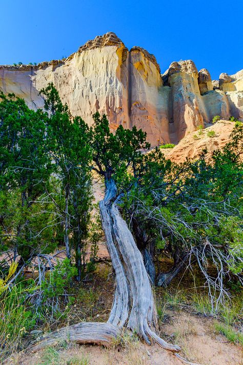 Ghost Ranch New Mexico, Mexico Costume, Southwest Aesthetic, Abiquiu New Mexico, Costume Aesthetic, New Mexico Road Trip, Ghost Ranch, Old Cabins, New Mexico Homes