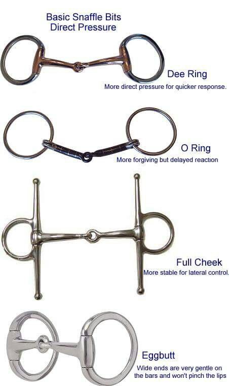 Bits Types Of Bits For Horses, Horse Bits Types Of, Bits For Horses, Horse Lessons, Horse Information, Horse Facts, Horse Care Tips, Horse Info, Horse Riding Tips