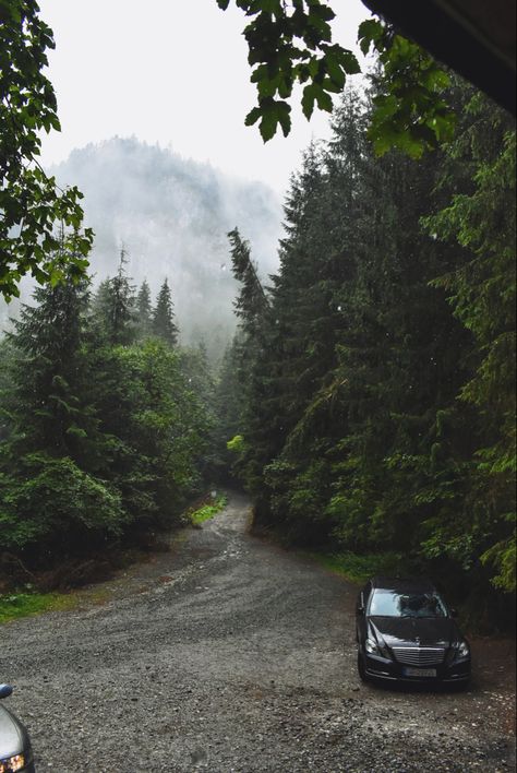 Car In Forest, Car In The Woods, Auto Aesthetic, Rachel Price, Tumblr Icon, Car 2023, Car Shoot, Jeep Camping, Woods Forest