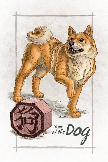 Chinese Astrology - Year Of The Dog Chinese Zodiac Compatibility, Dog Zodiac, Hanged Man Tarot, Animal Signs, Chinese Dog, The Sun Tarot, Zodiac Cards, Pop Illustration, Zodiac Years