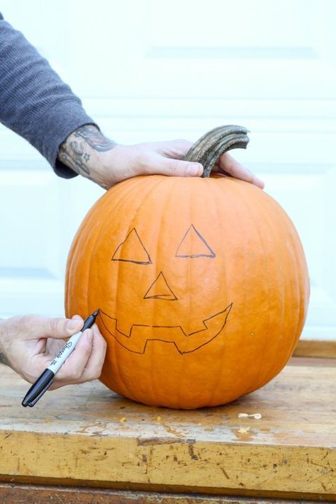 How To Carve a Pumpkin — Apartment Therapy Tutorials Pumpkin Carving Tips, Pumpkin Carve, Carve A Pumpkin, Pumpkin Cravings, Pumpkin Carving Kits, Easy Pumpkin Carving, Flameless Tea Lights, Halloween Pumpkin Designs, Halloween Pumpkins Carvings