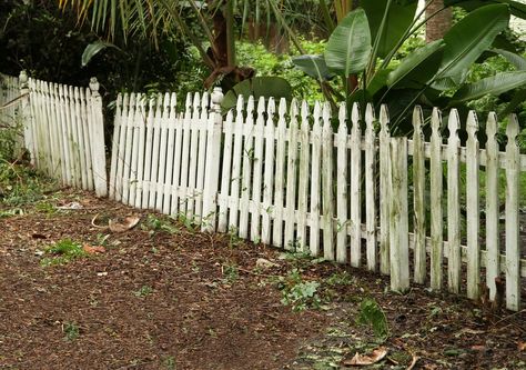 How to Remove an Old Wood Fence from Your Yard Old Wood Fence, Growing Garden, Concrete Footings, Fencing Material, Growing Gardens, Old Fences, Fall Images, Cottage Garden Plants, White Picket Fence