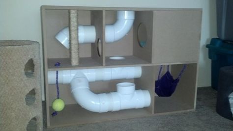 Homemade ferret playhouse, be sure the PVC tubes are well over the size of your ferret! Ferret Ideas, Ferret Diy, Hamster Ideas, Hammock Area, White Ferret, Ferret Stuff, Ferret Toys, Ferrets Care, Chinchilla Cage