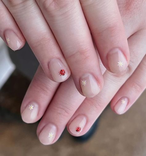 🐞Lady bug landings = good luck #springnails2023 #bugnails #flowernails #ladybugnails #luckynails #3dnails #nailart | Instagram Lady Bird Nails, Bug Nails Art, Good Luck Nails, Luck Nails, Ladybird Nails, Nails Ladybug, Bug Nail Art, Bug Nails, Ladybug Nail Art