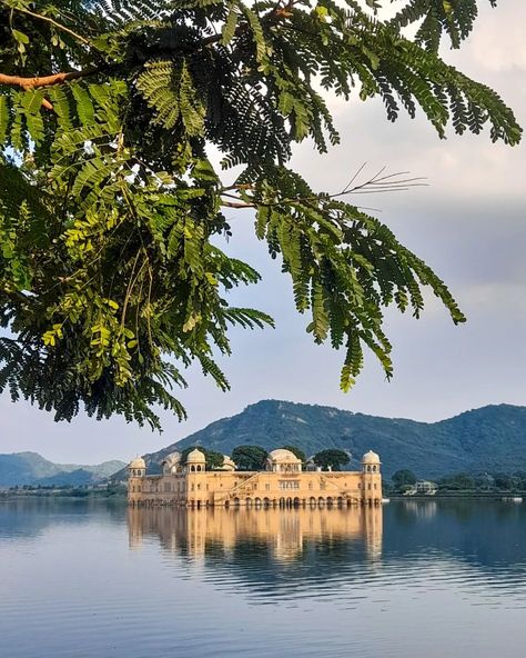 Jal Mahal 🧡 . . . . . #galleryjpr #jaipurgallery #jalmahal #jaipurcity #gemsofjaipur #jaipurheritage #jaipurtourism #rajasthan Jal Mahal, Jaipur, Tourism