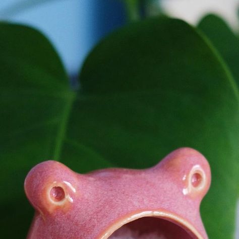 waldo pottery on Instagram: "pink froggy salt cellar

using the white clay gives me more glaze options to make brighter frogs, but something is still drawing me back to the speckled buff clay. still like this little pink frog tho, it definitely brightens up the kitchen. 🐸
.
.
#waldopottery #handmade #pottery #saltcellar #kitchendecor #frog" Still Drawing, Pink Frog, Salt Pig, Salt Cellar, White Clay, Handmade Pottery, Frogs, The White, The Kitchen