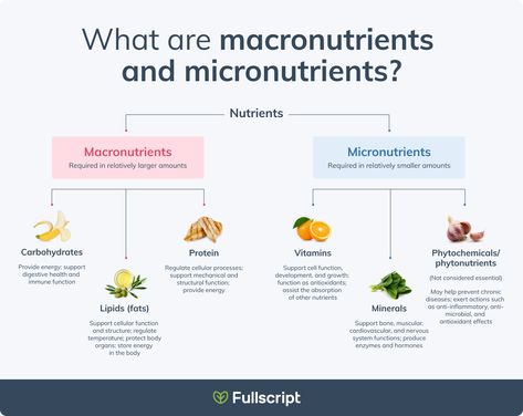 Aesthetic Nutrition, Macro Nutrients, Track Diet, Low Fiber Diet, Functional Nutrition, Healthy Diets, Nutrition Facts Label, Muscle Soreness, Fat Soluble Vitamins