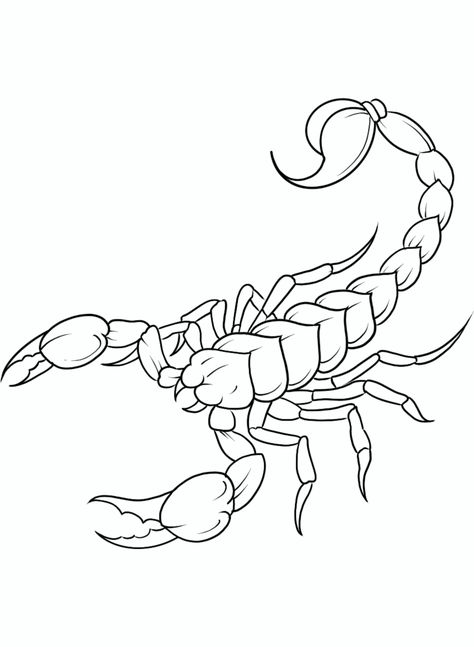 Scorpion Tattoo Outline, Scorpion Tattoo Stencil, Scorpion Stencil, Scorpion Outline, Scorpion Drawing, Scorpion Tattoo Design, Scorpion Art, Neo Tattoo, Hip Hop Artwork