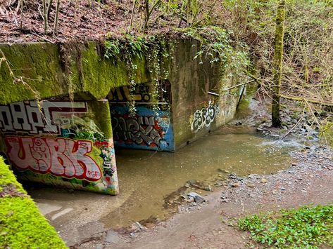 Creek Swimming Aesthetic, Craig Of The Creek Aesthetic, Train Hopping, Creek Aesthetic, Abby Core, Creek Photography, Zombie Boy, Alaska Young, Midwest Emo