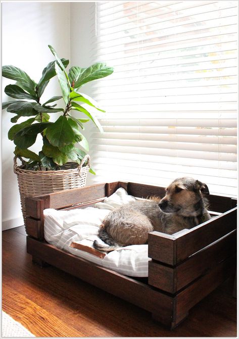 Looking for the perfect dog bed? Look no further than the Lovely Dog Bed! This bed is made from high-quality materials and is designed to keep your dog comfortable and content. Diy Dog Bed Frame, Dog Enclosures, Dog Bed Frame, Wood Dog Bed, Dog Room Decor, Pallet Dog Beds, Dog Bedroom, Cute Dog Beds, Dog Spaces