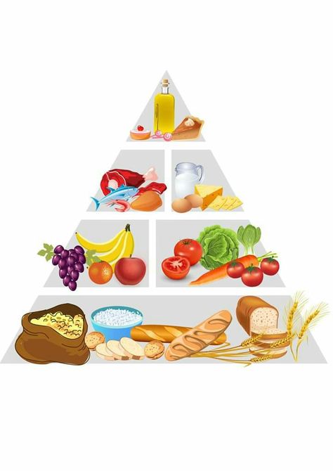 Food Pyramid Kids, Sistem Pencernaan, Food Pyramid, Breakfast Food List, Seni Dan Kraf, Vector Food, Food Backgrounds, Food Concept, Food Pantry